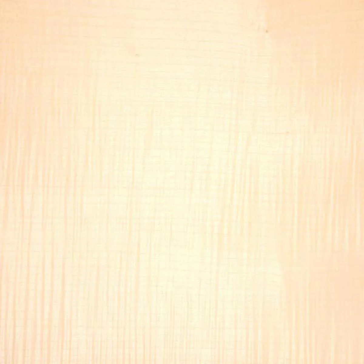 VENEER FSHM SYCAMORE 50x100m